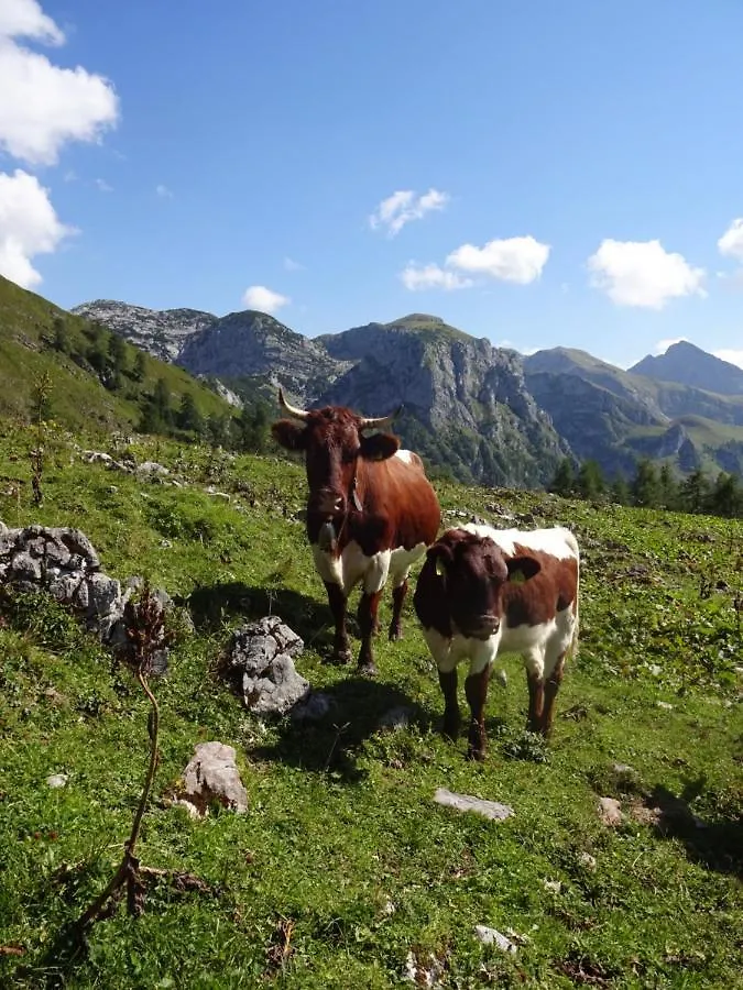 Malterlehen-Berchtesgaden Διαμέρισμα